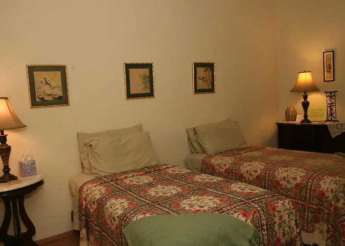 Bed and breakfast Spirit Tree