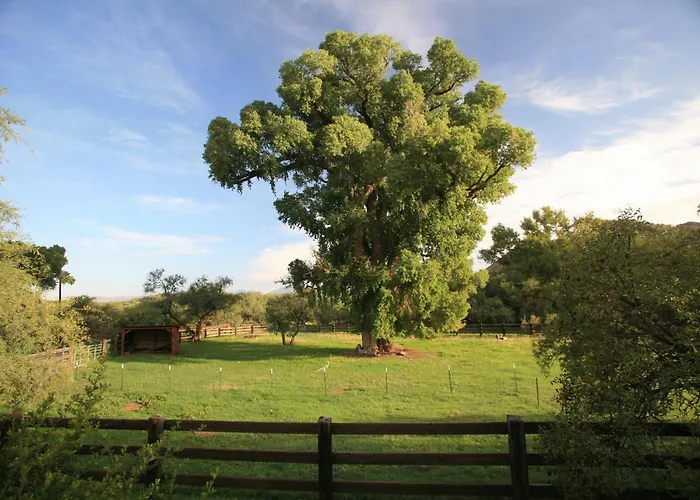 Bed and breakfast Spirit Tree Patagonia