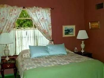 Bed and breakfast Spirit Tree