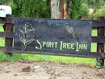 Spirit Tree 3*