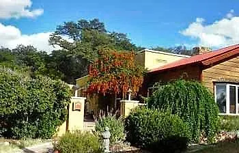 Bed and breakfast Spirit Tree